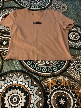 California Graphic Short Sleeve Tee in Tan